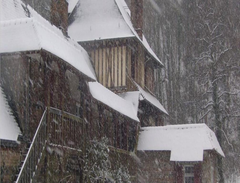 Le Moulin Fleuri Du Petit Appeville Exterior foto